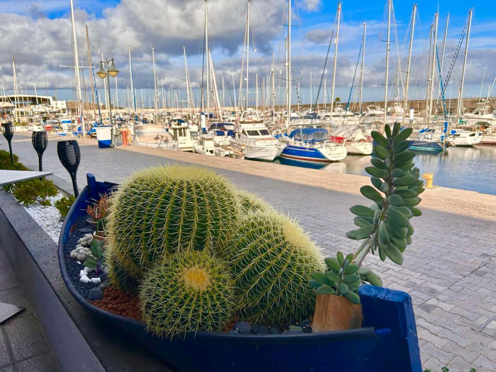 Casa Natalie La Marina Lägenhet Puerto Calero Exteriör bild
